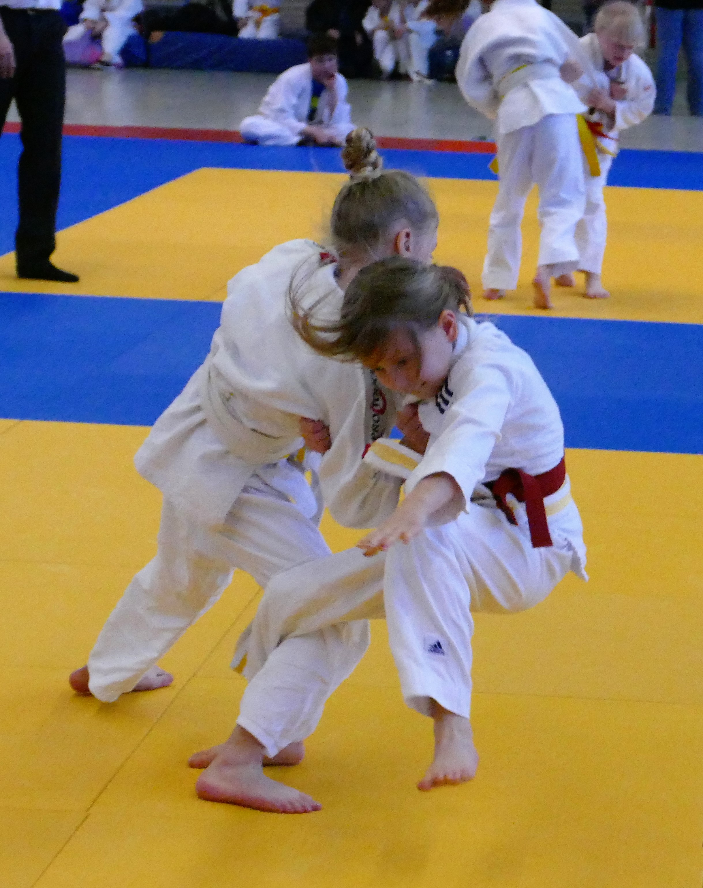 tl_files/judoka_stade/2016/Bilder/2014 04 Kreis Maedel.jpg